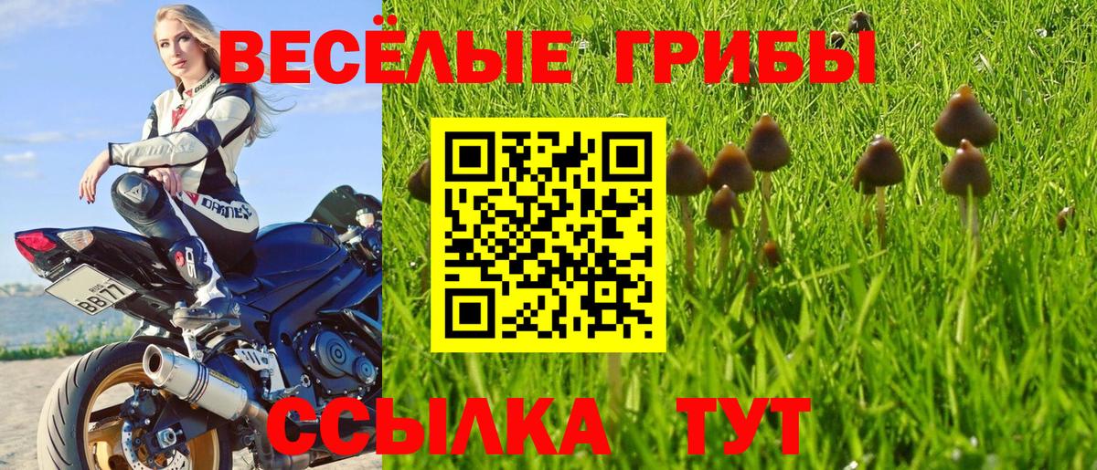 NBOMe Курганинск