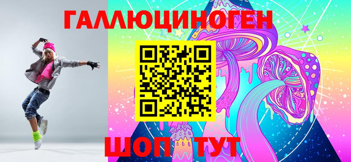 Курганинск  Псилоцибиновые грибы Cubensis  Вход с VPN 